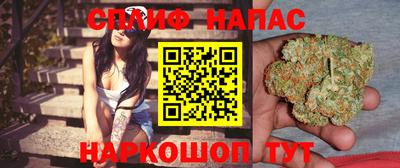тгк Партизанск
