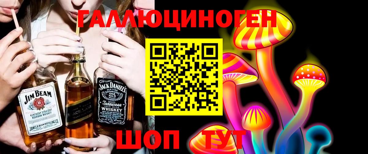 Псилоцибиновые грибы GOLDEN TEACHER Ступино