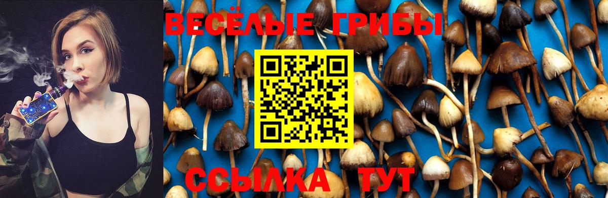 Псилоцибиновые грибы MAGIC MUSHROOMS  Вход с VPN  закладка  Ступино 